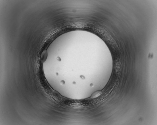 X0000098050544200804181326