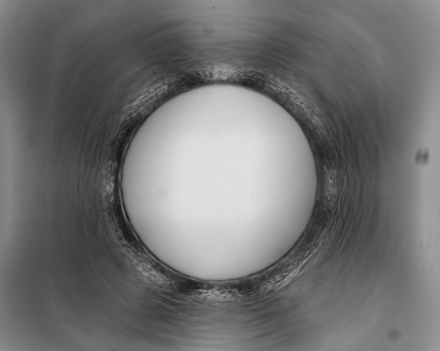 X0000098050545200804181326