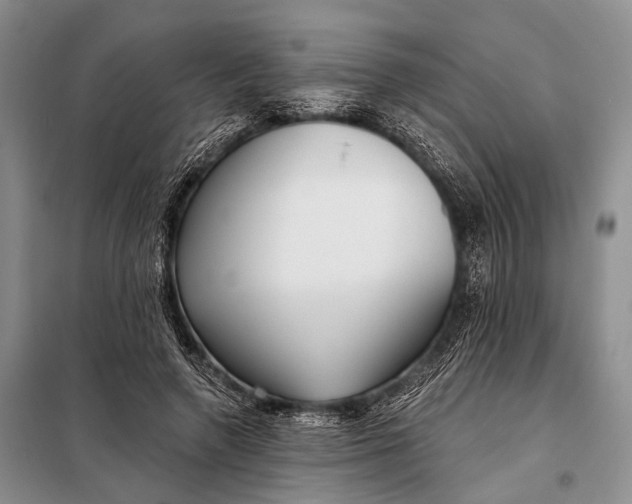 X0000098050546200804181326