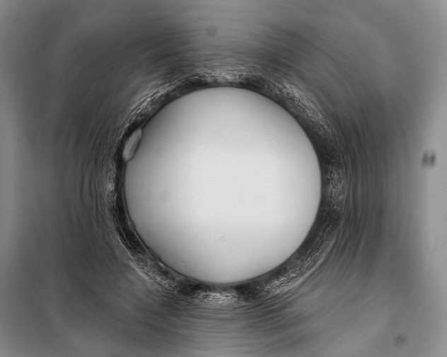 X0000098050548200804181326