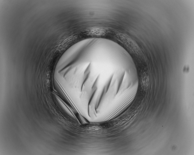 X0000098050551200804181326