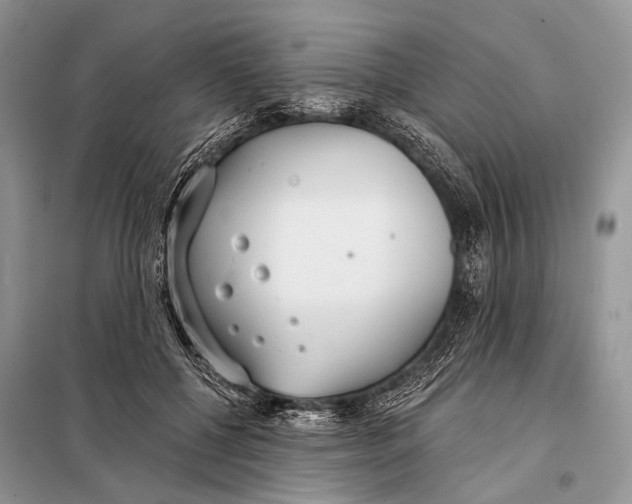 X0000098050552200804181326