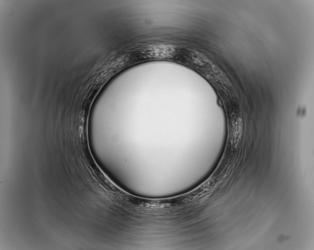 X0000098050553200804181326