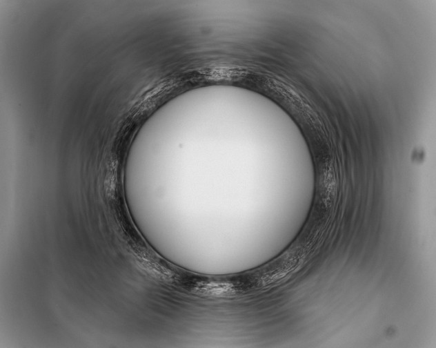 X0000098050554200804181326