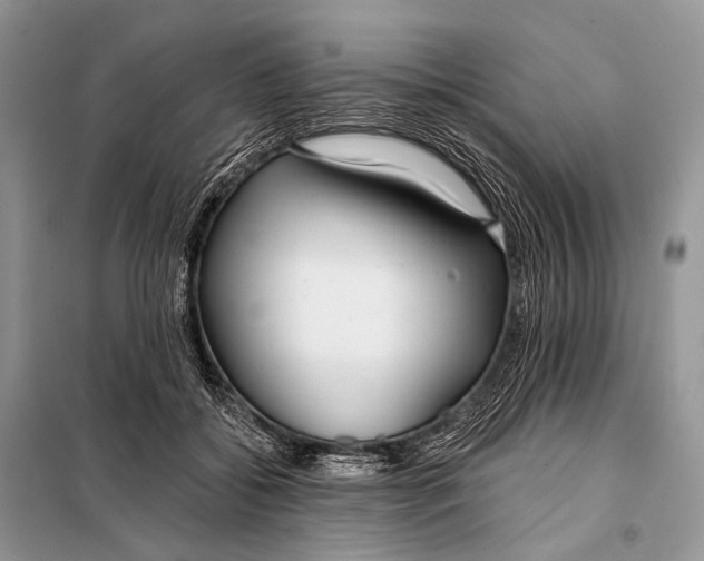 X0000098050556200804181326