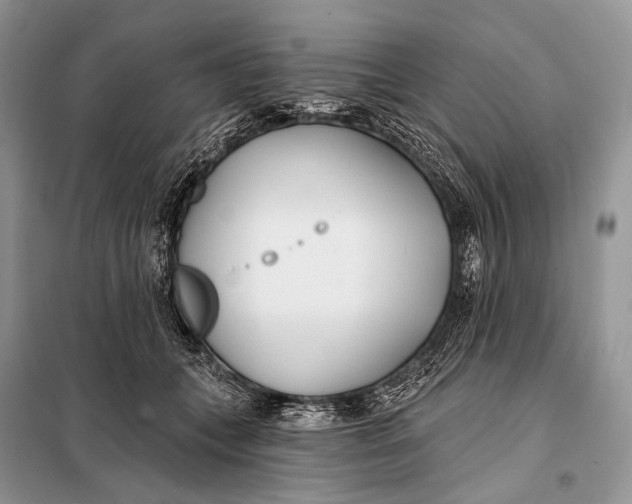 X0000098050559200804181326