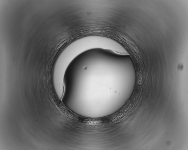 X0000098050560200804181327