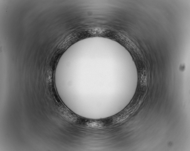 X0000098050561200804181327