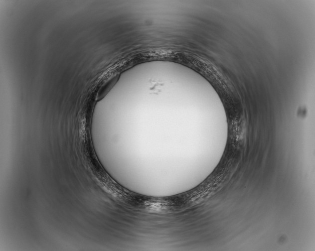 X0000098050564200804181327