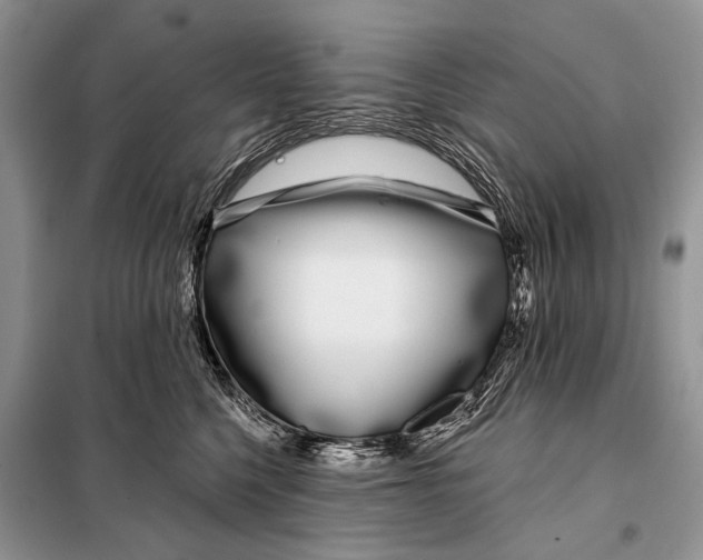 X0000098050568200804181327