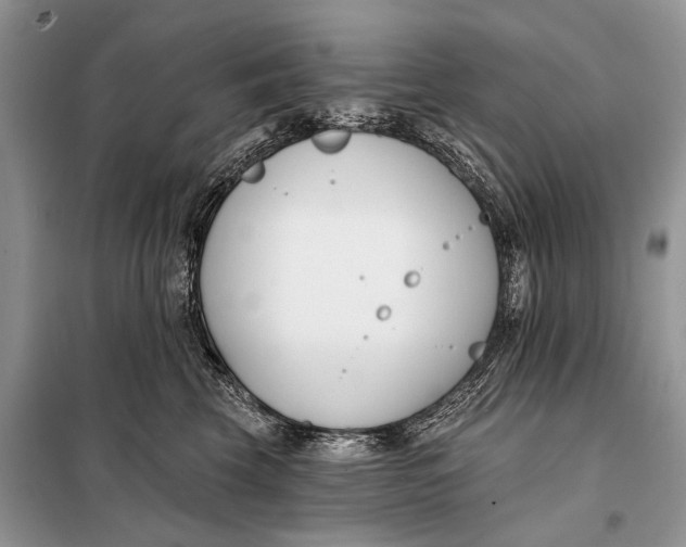 X0000098050569200804181327