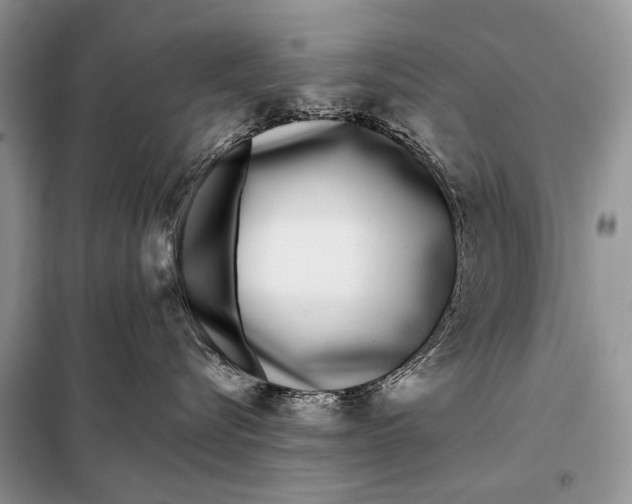 X0000098050576200804181327