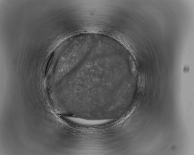 X0000098050577200804181326