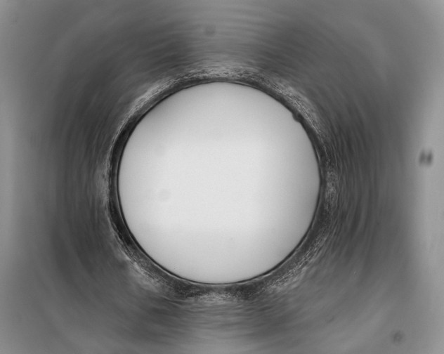 X0000098050578200804181326