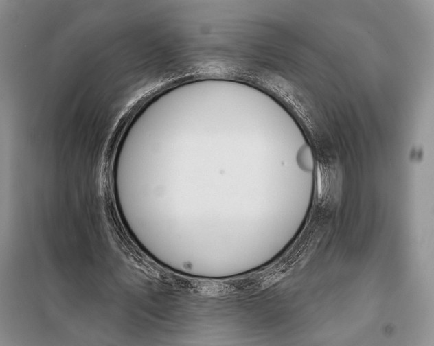 X0000098050579200804181326