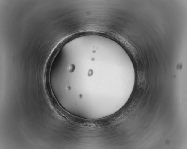 X0000098050580200804181326