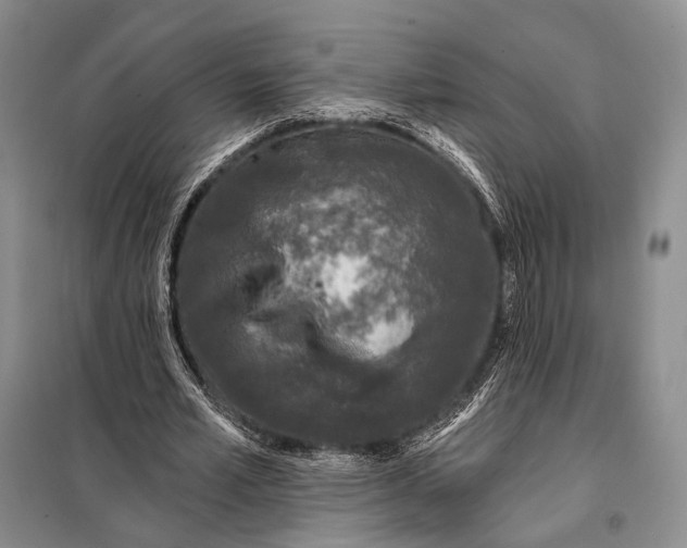 X0000098050581200804181326