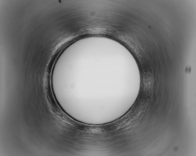 X0000098050583200804181326