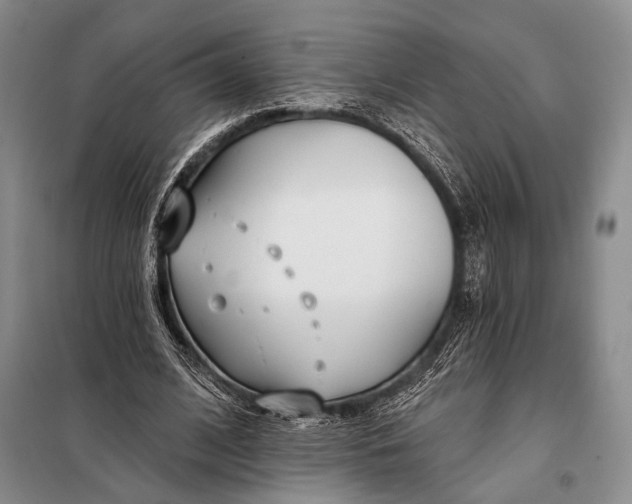 X0000098050584200804181326