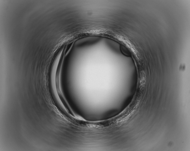 X0000098050585200804181326