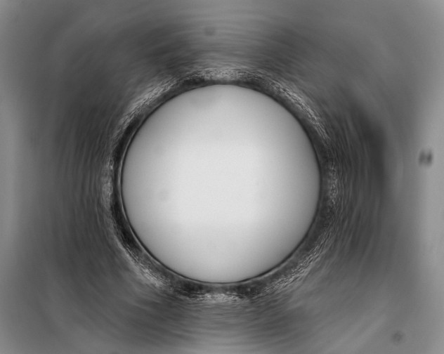 X0000098050586200804181326