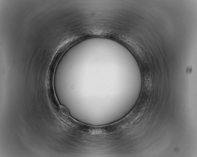 X0000098050587200804181326