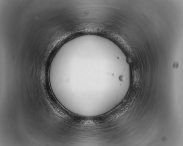 X0000098050588200804181326