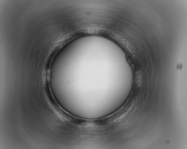 X0000098050589200804181326