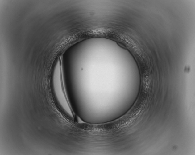 X0000098050593200804181325