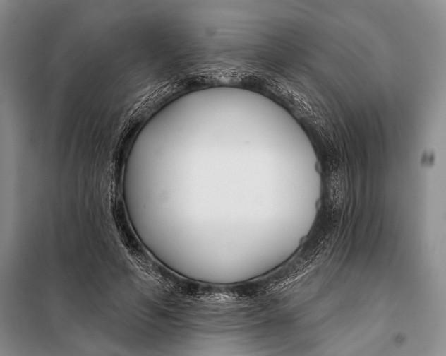 X0000098050594200804181325