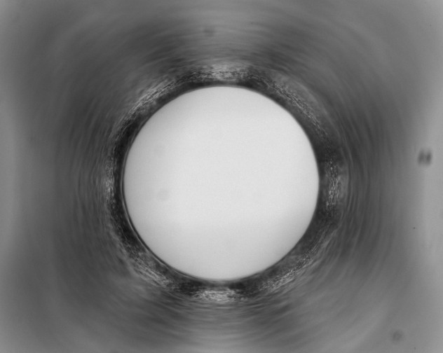 X0000098050595200804181325