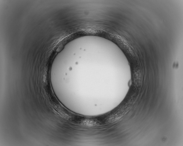 X0000098050596200804181325