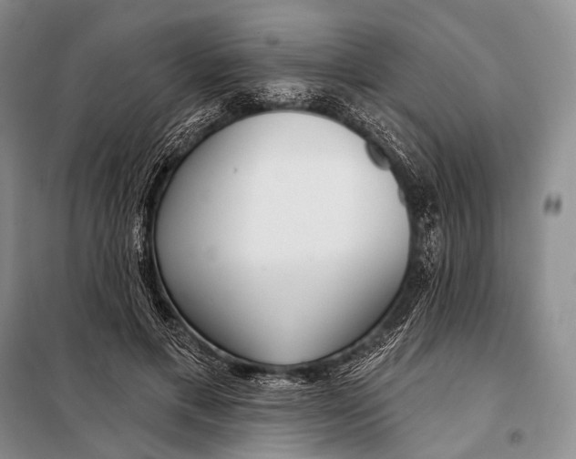 X0000098050597200804181325