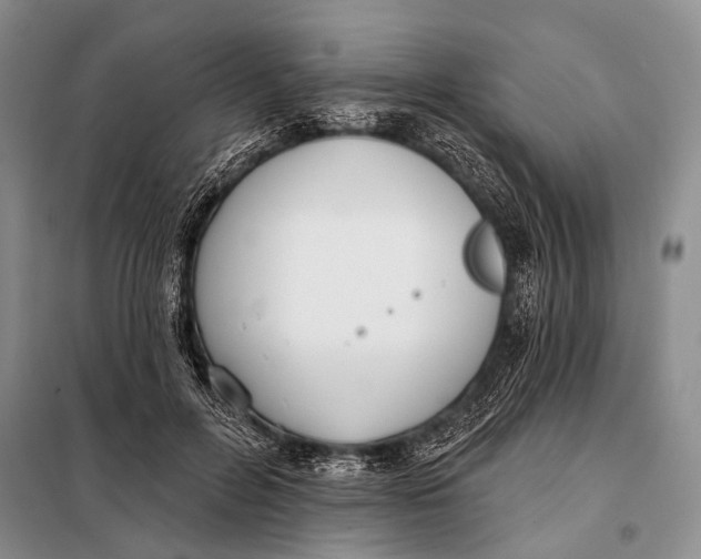 X0000098050600200804181325