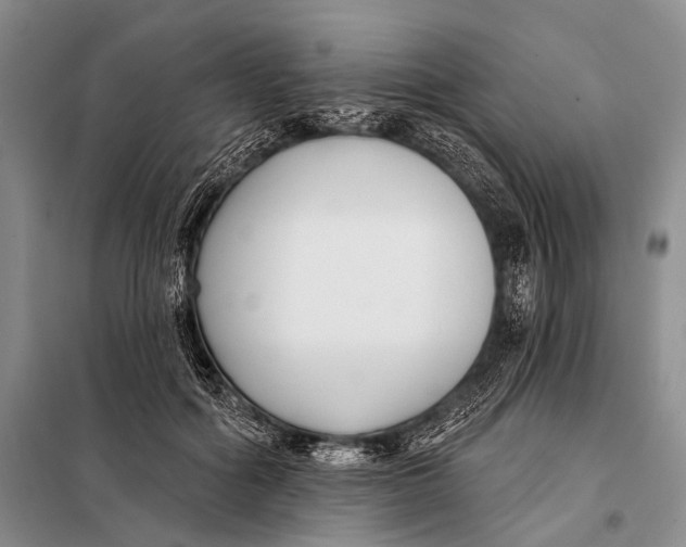 X0000098050602200804181325