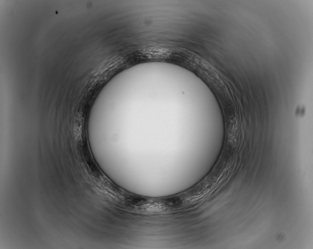 X0000098050604200804181325