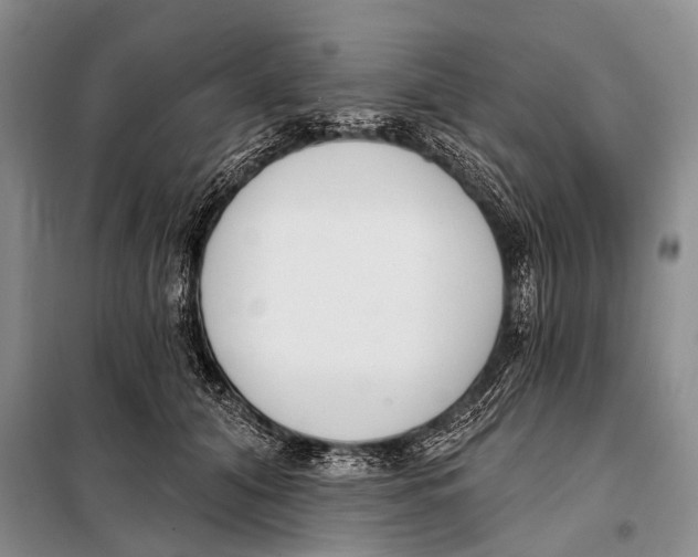 X0000098050608200804181325