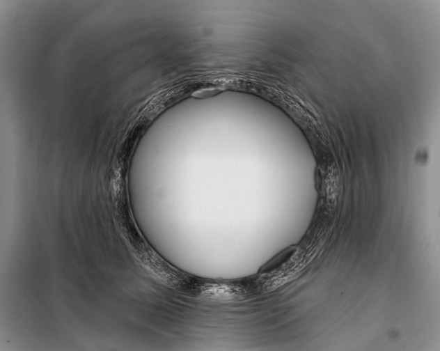 X0000098050611200804181325