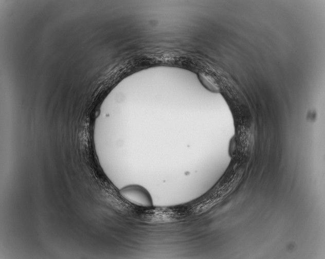 X0000098050612200804181325