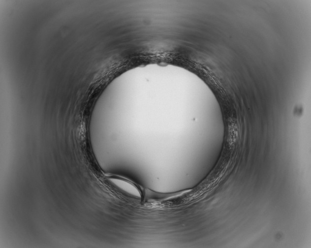 X0000098050613200804181325