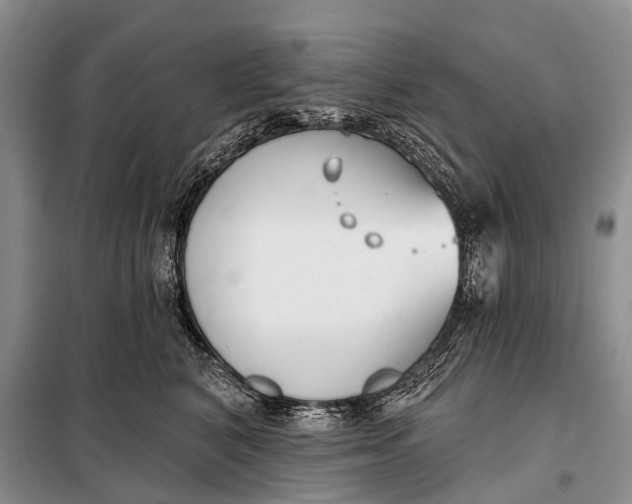 X0000098050616200804181325