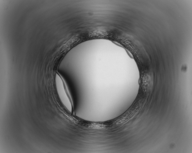 X0000098050617200804181325