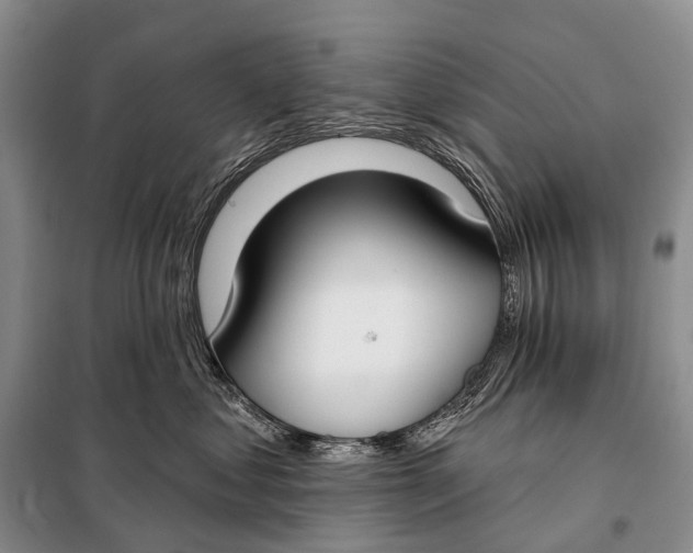 X0000098050621200804181325