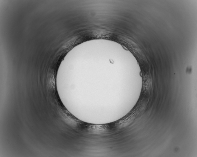 X0000098050622200804181325