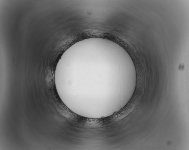 X0000098050624200804181325