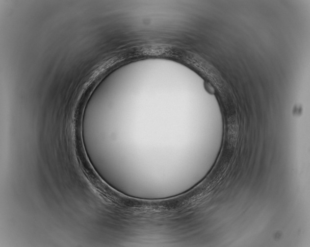 X0000098050626200804181324