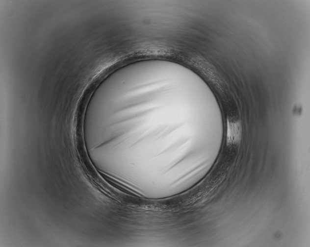 X0000098050627200804181324