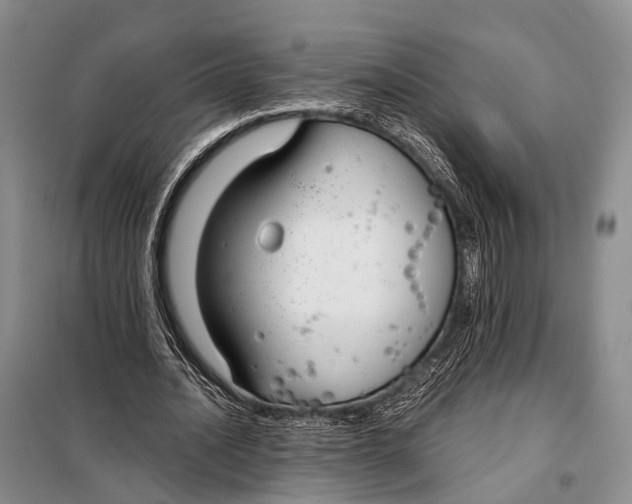 X0000098050628200804181324