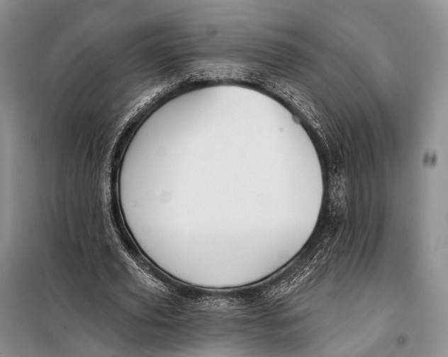 X0000098050629200804181324