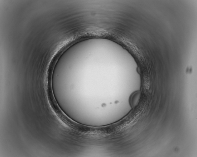 X0000098050630200804181324